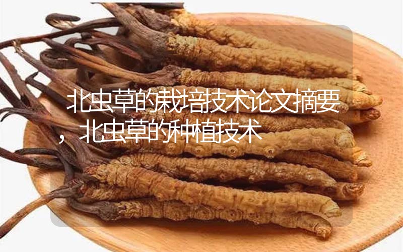 北蟲草的栽培技術(shù)論文摘要，北蟲草的種植技術(shù)