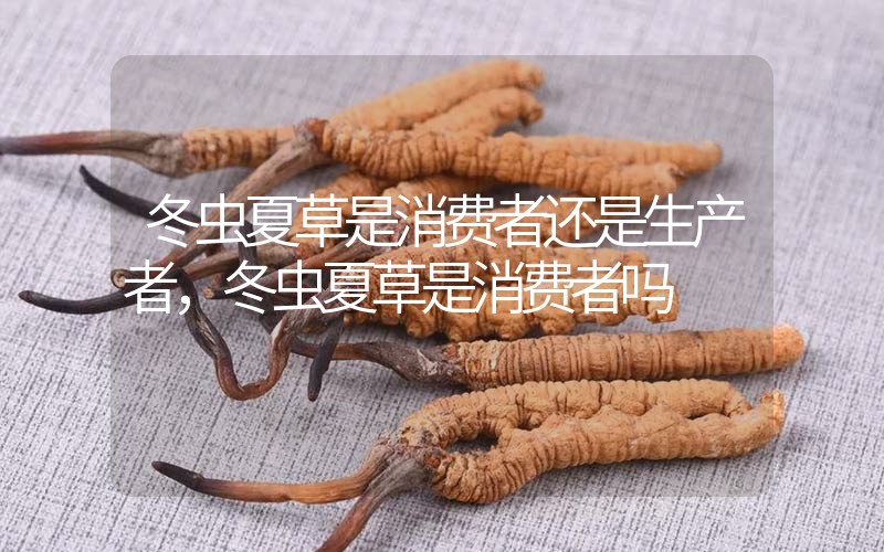 貧血吃冬蟲夏草有效果嗎，貧血虛弱者可以用冬蟲夏草嗎？