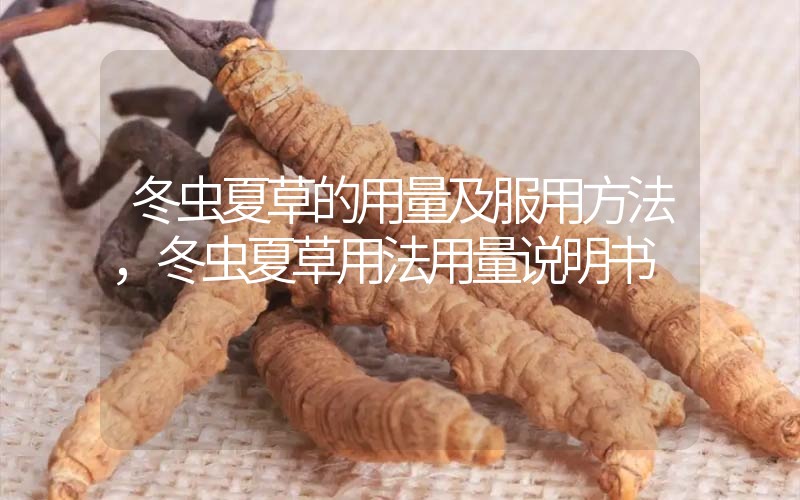 冬蟲夏草的用量及服用方法，冬蟲夏草用法用量