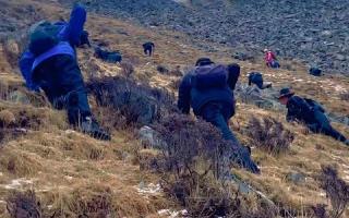 那曲比如縣各鄉鎮蟲草采集點群眾進點工作已基本完畢