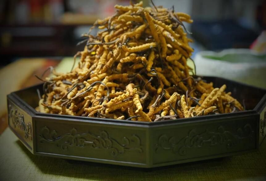 <a href=http://www.1178734b.cn/ target=_blank class=infotextkey>冬蟲夏草</a>