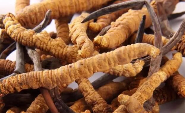 <a href=http://www.1178734b.cn/chifa/ target=_blank class=infotextkey>冬蟲夏草的吃法</a>