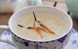 冬蟲夏草對男性與女性的不同表現