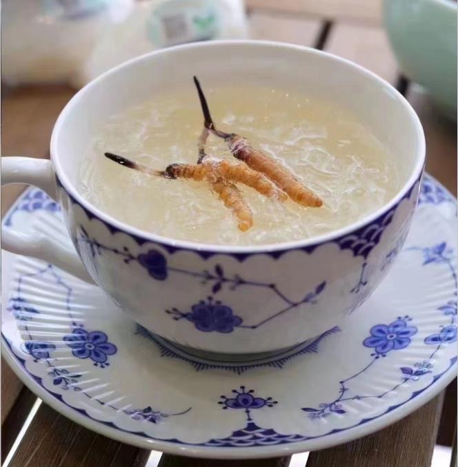養(yǎng)生小竅門：冬蟲夏草燉什么好喝？