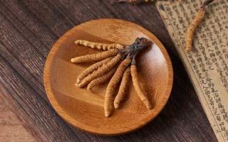 新鮮冬蟲夏草和干草有什么區別？