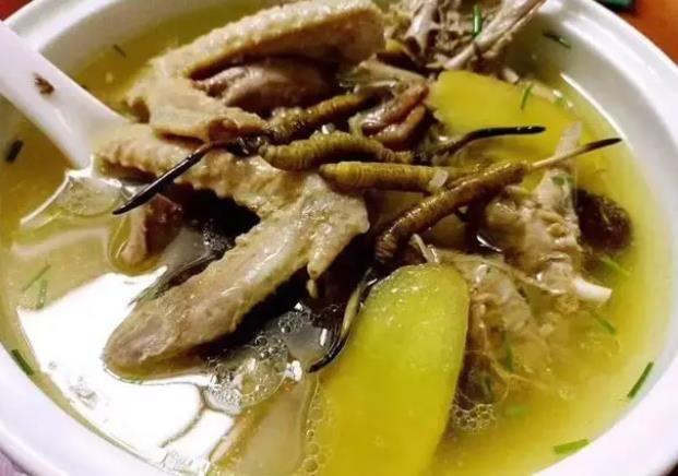 冬蟲夏草和哪些食材可以一起煲湯?