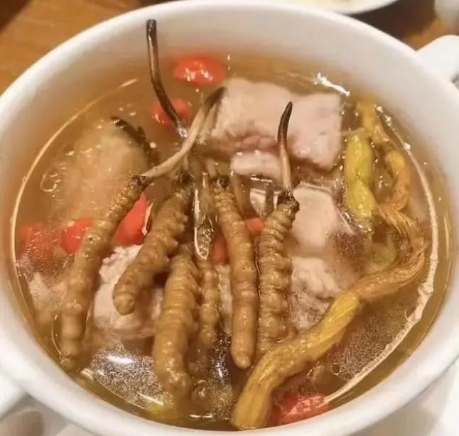 冬蟲夏草如何煲湯才能鎖住營養