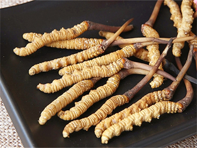 真的冬蟲夏草什么價格？影響冬蟲夏草價格波動的3個關鍵因素