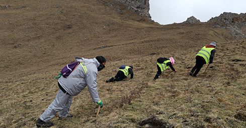 <a href=http://www.1178734b.cn/sdph/zf/ target=_blank class=infotextkey>珍峰冬蟲夏草</a>：源自世界屋脊的養生瑰寶