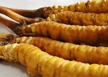 <a href=http://www.1178734b.cn/sdph/zf/ target=_blank class=infotextkey>珍峰冬蟲夏草</a>主要的銷售模式