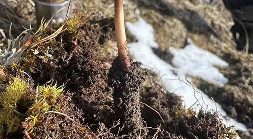 <a href=http://www.1178734b.cn/xinxian/ target=_blank class=infotextkey>新<a href=http://www.1178734b.cn/xinxian/ target=_blank class=infotextkey>鮮冬蟲夏草</a></a>存放