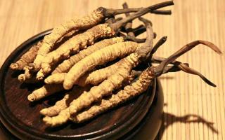 冬蟲夏草的價(jià)格一克：為何如此昂貴？