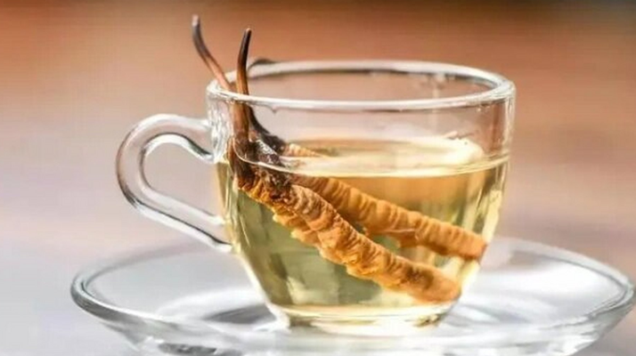 冬蟲夏草怎樣吃法好