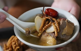 冬蟲(chóng)夏草搭配有道，滋養(yǎng)肺部效果妙