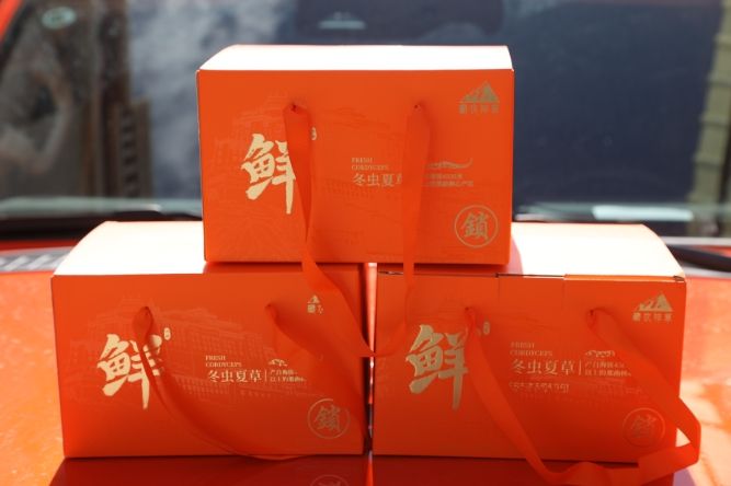 當冬蟲夏草邂逅橘色包裝：奢華與文化的交融