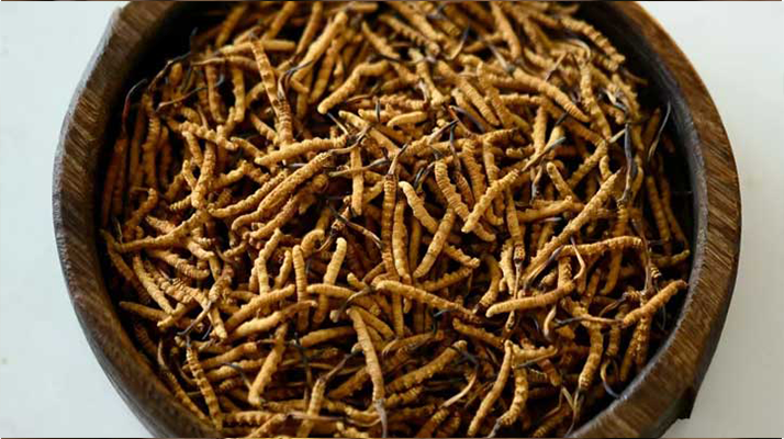 <a href=http://www.1178734b.cn/ target=_blank class=infotextkey>冬蟲夏草</a>真偽辨別全攻略:五招識破 “李鬼”