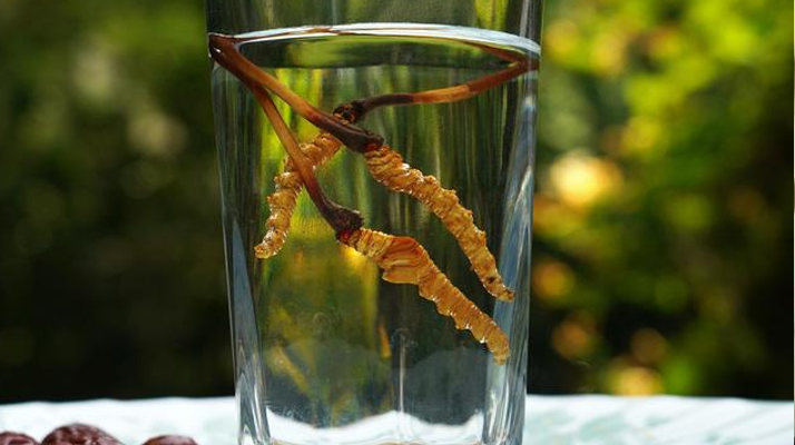 <a href=http://www.1178734b.cn/xinxian/ target=_blank class=infotextkey>鮮冬蟲夏草</a>怎么泡好吃?這些配方讓滋補更有滋味