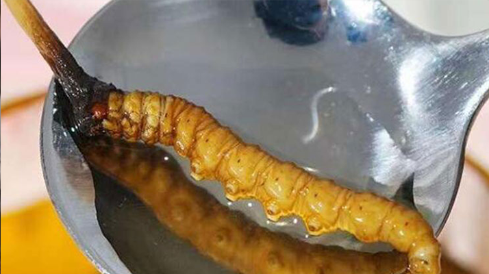 冬蟲夏草鮮草冷凍后這樣吃,營養(yǎng)不流失!