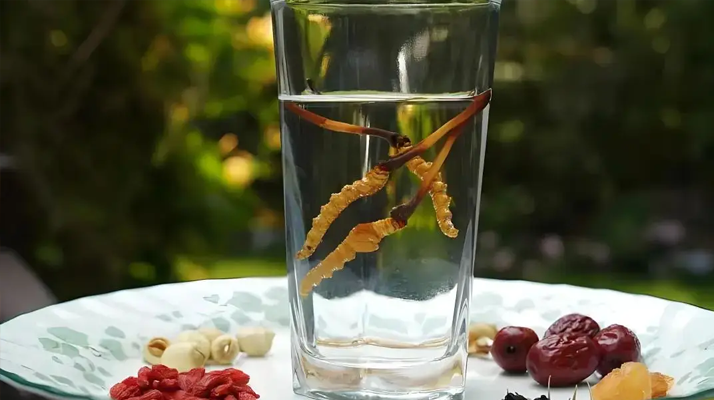 冬蟲夏草鮮品泡酒:養(yǎng)生佳釀還是健康隱患?