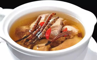 冬蟲夏草煲湯的最佳季節，喝對事半功倍