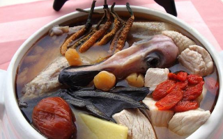 冬蟲夏草配什么煲湯好？營養美味的搭配指南