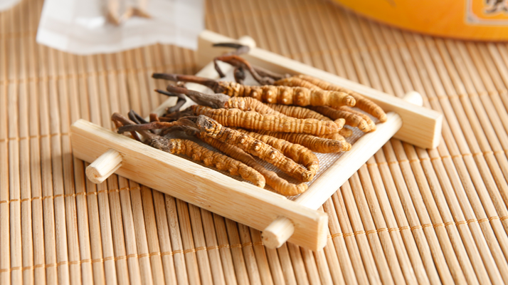 冬蟲夏草一般多少錢一斤？?jī)r(jià)格背后的價(jià)值解析