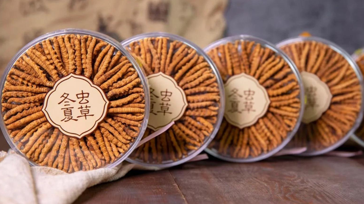 探尋上海冬蟲夏草市場:多渠道選購指南