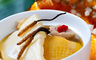 煲鴿子湯放多少冬蟲夏草？科學(xué)搭配的滋補之道