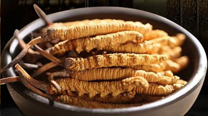 好的<a href=http://www.1178734b.cn/jiage/ target=_blank class=infotextkey>冬蟲夏草多少錢</a>一克