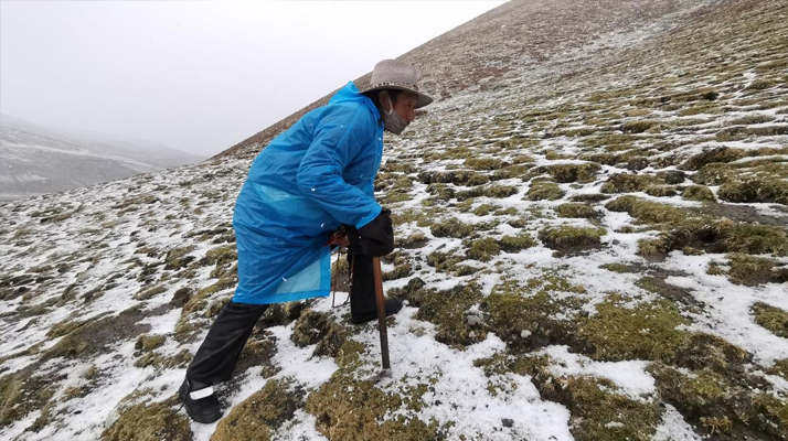 冬蟲夏草長在什么季節(jié)?