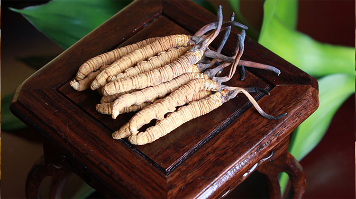 新鮮<a href=http://www.1178734b.cn/jiage/ target=_blank class=infotextkey>冬蟲夏草的價格</a>一根