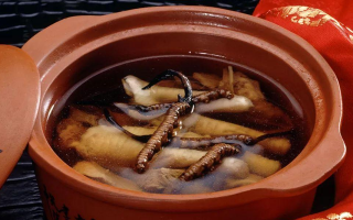 糖尿病可服用冬蟲夏草嗎？科學解析其調理價值與注意事項