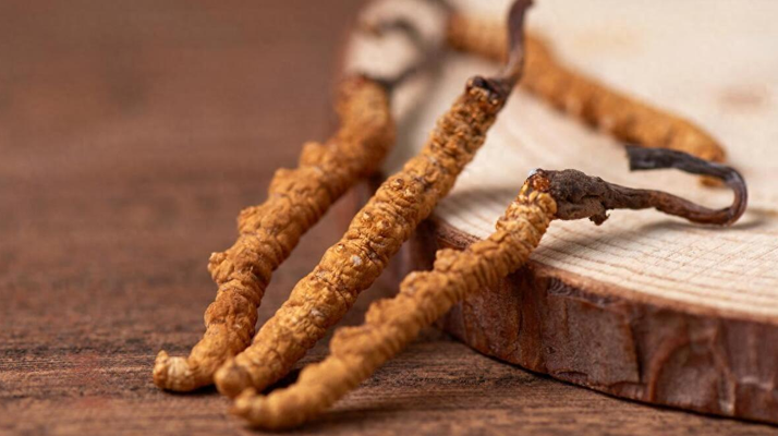 純野生<a href=http://www.1178734b.cn/jiage/ target=_blank class=infotextkey>冬蟲夏草價格</a>剖析:多因素交織下的價值體現