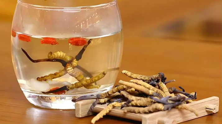 長(zhǎng)期喝冬蟲(chóng)夏草泡水好嗎？科學(xué)分析與飲用指南