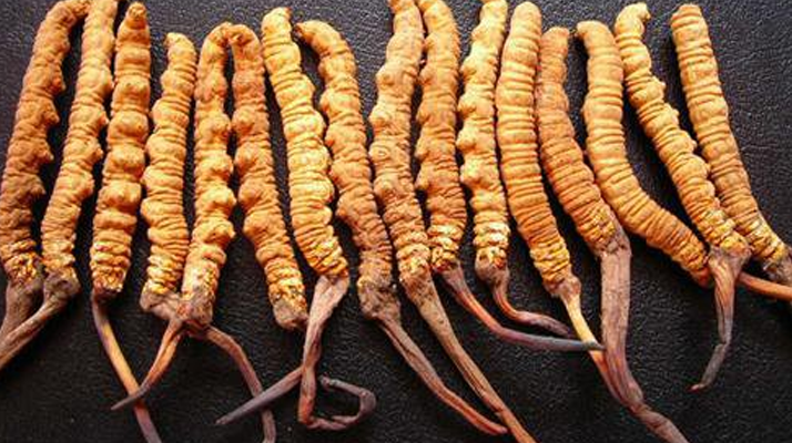 新鮮<a href=http://www.1178734b.cn/gongxiao/ target=_blank class=infotextkey><a href=http://www.1178734b.cn/gongxiao/ target=_blank class=infotextkey><a href=http://www.1178734b.cn/yangsheng/ target=_blank class=infotextkey>冬蟲夏草的功效</a></a></a>與作用：活性保留更完整，解鎖天然滋補新價值