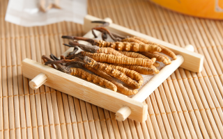 冬蟲(chóng)夏草老鴨湯怎么燉？鮮香滋補(bǔ)的詳細(xì)做法與技巧