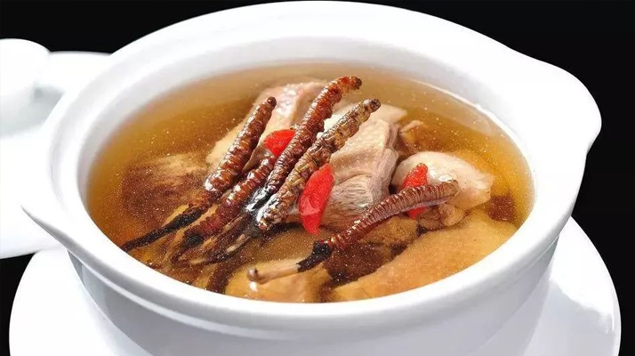 冬蟲夏草湯的正確熬制方法,營養與美味兼得