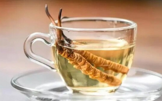 十根冬蟲夏草泡多少酒？科學(xué)配比與實(shí)操指南