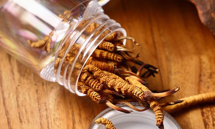 <a href=http://www.1178734b.cn/jiage/ target=_blank class=infotextkey>冬蟲夏草多少錢</a>一條 