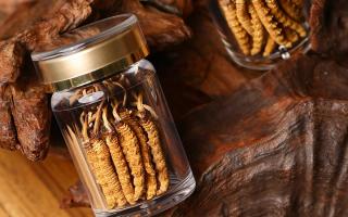 鮮冬蟲夏草泡水后怎么保存？3 種場景保存方法 + 避坑指南