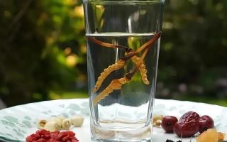 人參配蟲草泡酒，泡多久才好喝？咱跟你說實(shí)在的