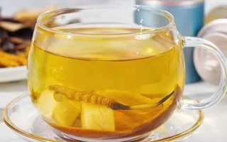 藏農神草的冬蟲夏草有藥用價值嗎?