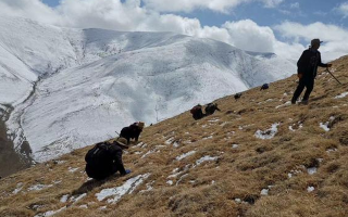 個人采集證 + 企業收購許可的申請材料清單與辦理時間表