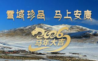 雪域高原藏珍品，2026愿您馬上安康——來自西藏那曲蟲草網(wǎng)的新春祝福-西藏那曲蟲草網(wǎng)