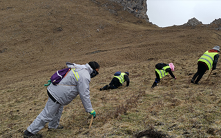 深耕那曲雪域，甄選正宗好草——2026那曲冬蟲夏草優(yōu)質(zhì)品牌盤點(diǎn)-西藏那曲蟲草網(wǎng)