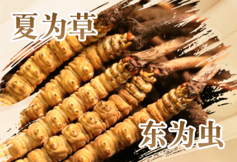 右側(cè)廣告位